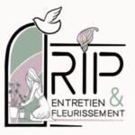 deeppink-capybara-161701.hostingersite.com